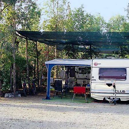 International Village