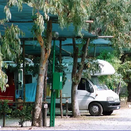 International Village