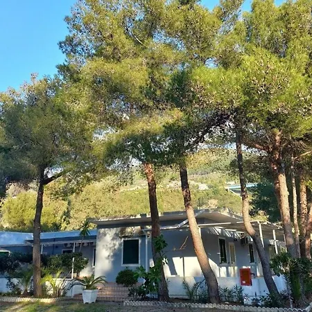 International Village Campsite