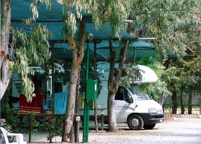 International Village