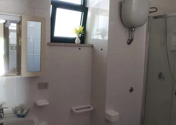 International Village *